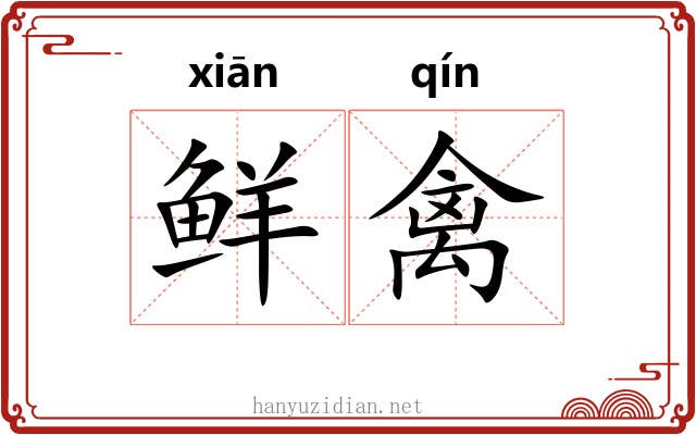 鲜禽