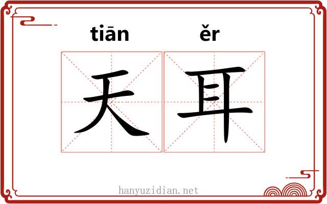天耳 天耳