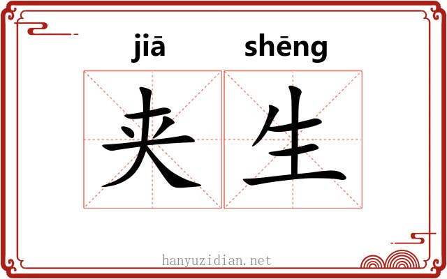 夹生 夹生