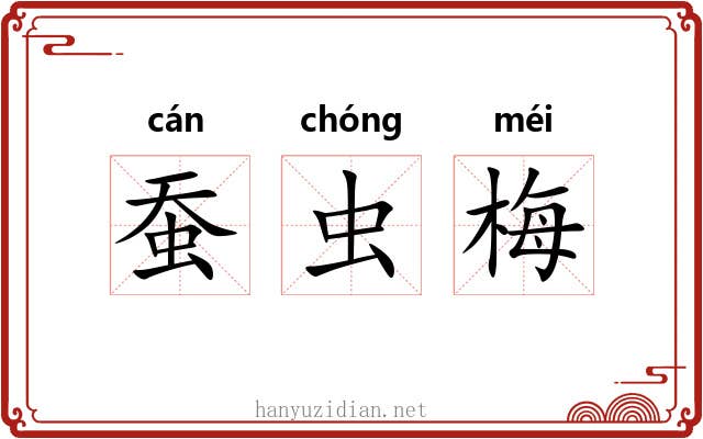 蚕虫梅