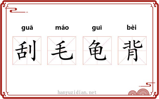 刮毛龟背