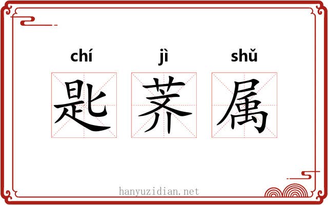 匙荠属