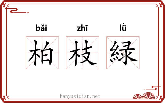 柏枝緑 柏枝緑