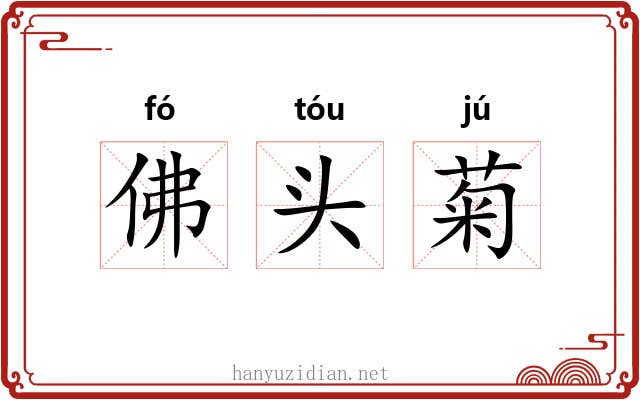 佛头菊 佛头菊