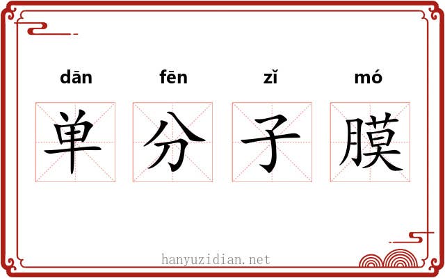 单分子膜 单分子膜