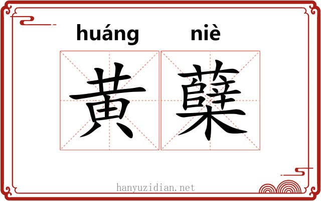 黄蘖