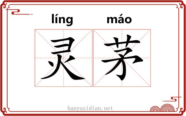 灵茅