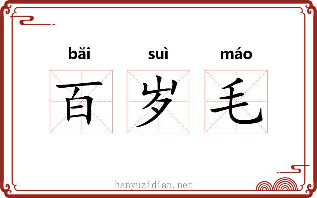 百岁毛