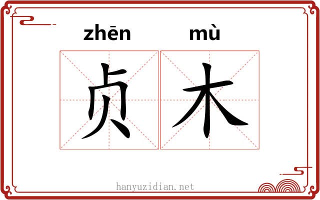 贞木 贞木