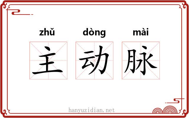 主动脉