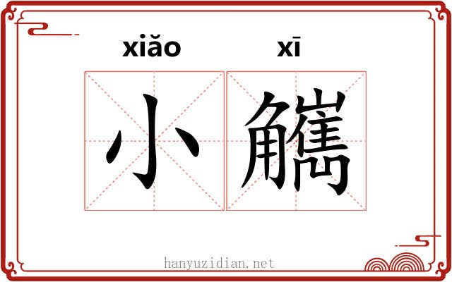 小觽
