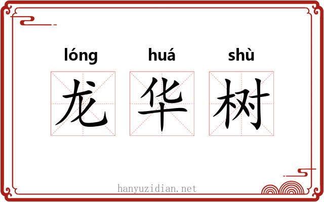 龙华树