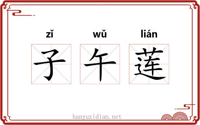 子午莲