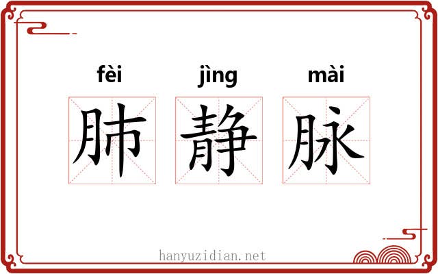 肺静脉 肺静脉