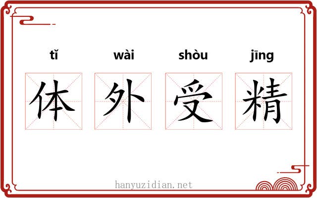 体外受精 体外受精