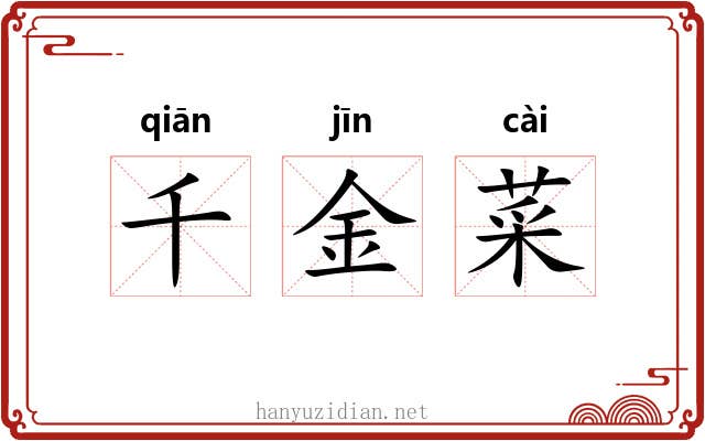 千金菜 千金菜