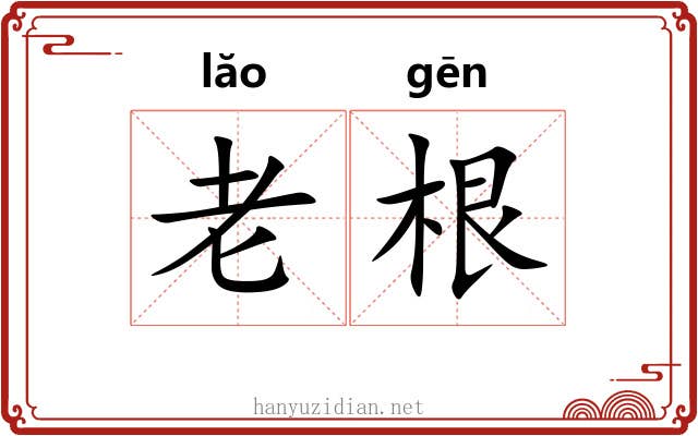 老根