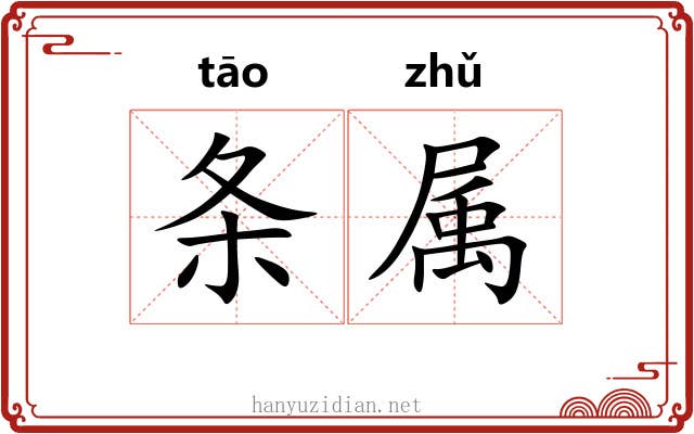 条属