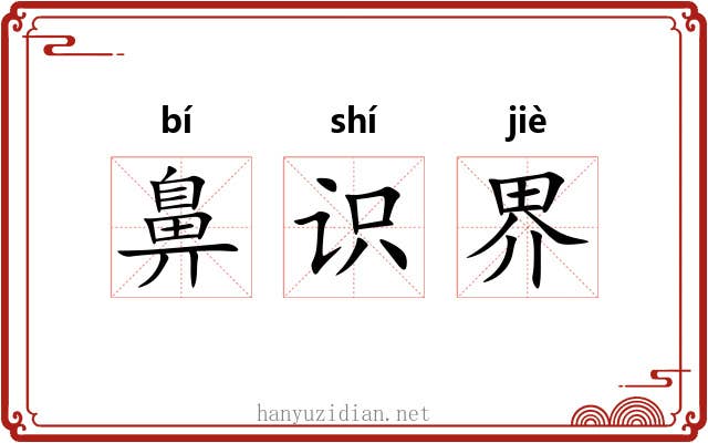 鼻识界 鼻识界