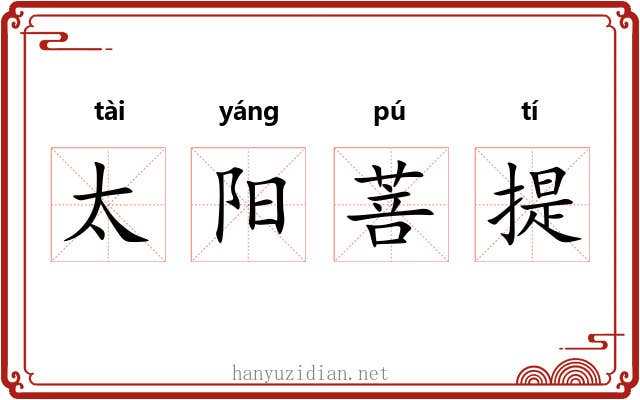 太阳菩提 太阳菩提