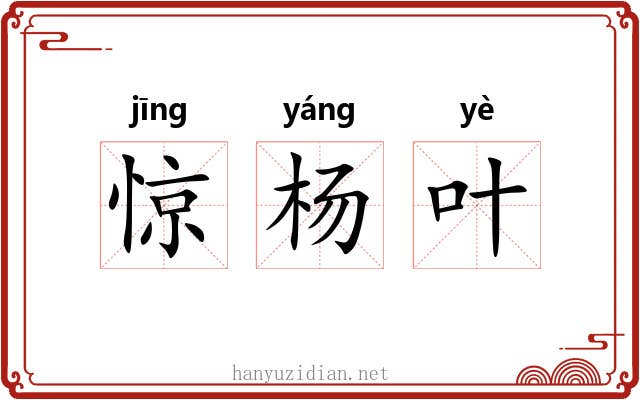 惊杨叶 惊杨叶