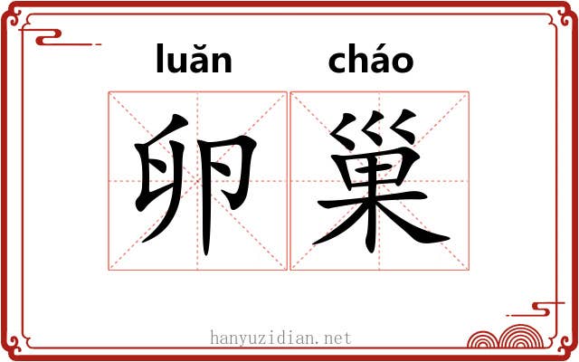 卵巢