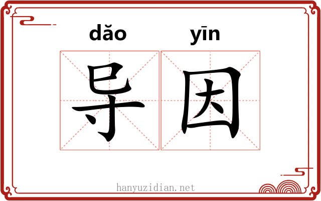 导因