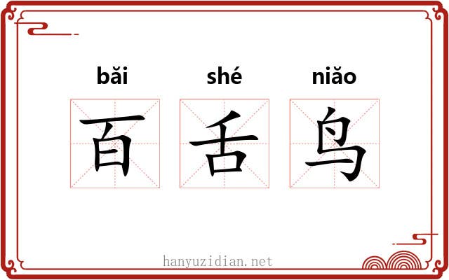 百舌鸟 百舌鸟