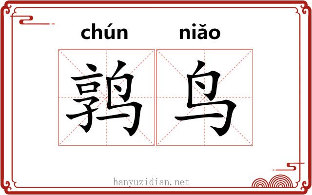 鹑鸟 鹑鸟