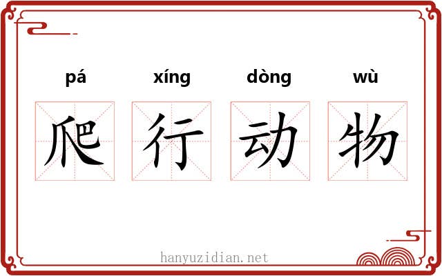 爬行动物