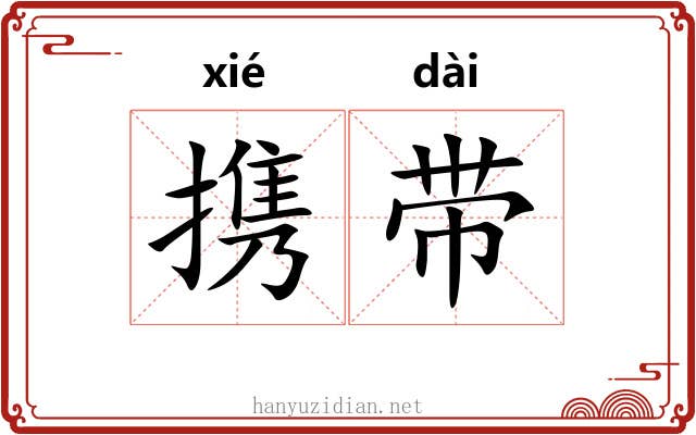 携带 携带