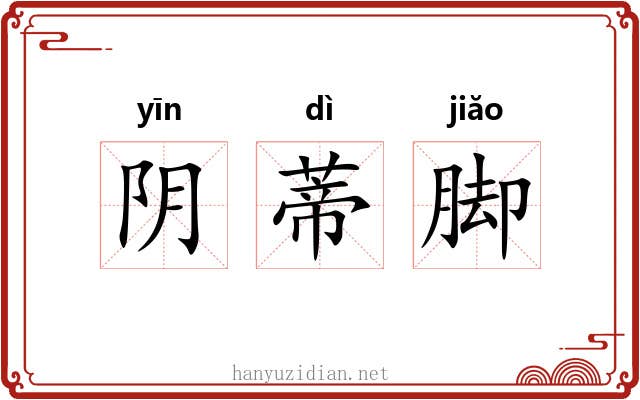 阴蒂脚