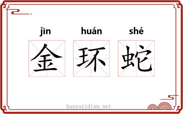 金环蛇 金环蛇