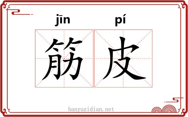 筋皮