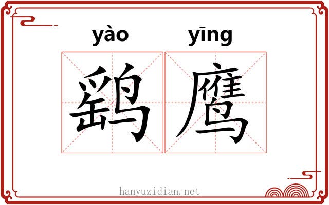 鹞鹰