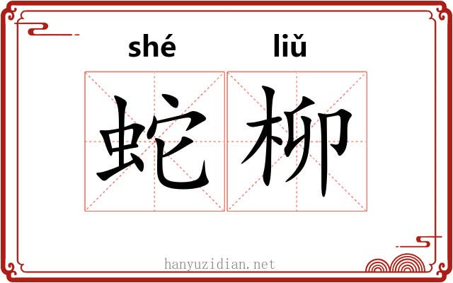 蛇柳