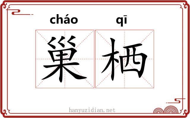 巢栖