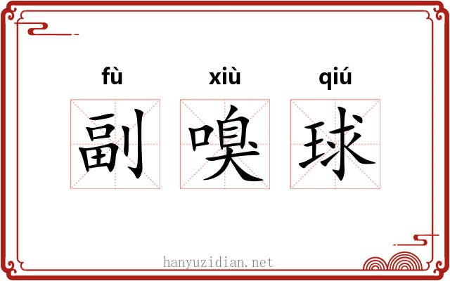 副嗅球 副嗅球