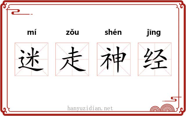 迷走神经 迷走神经