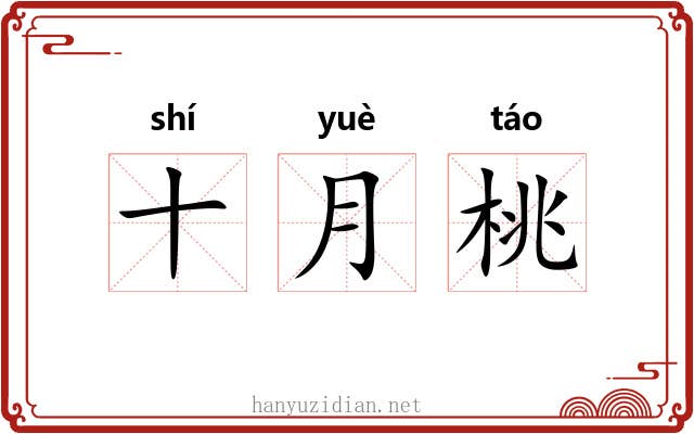 十月桃 十月桃