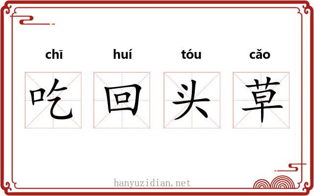 吃回头草 吃回头草