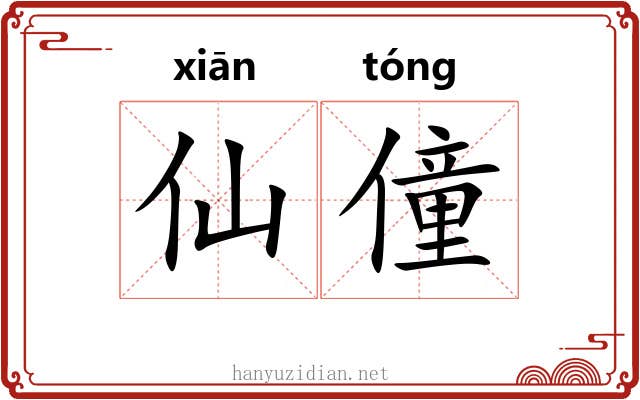 仙僮