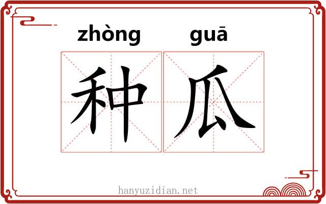 种瓜 种瓜