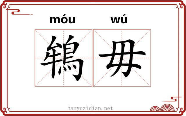 鴾毋