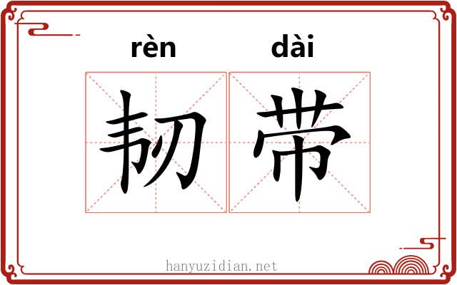 韧带 韧带