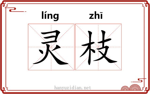 灵枝 灵枝