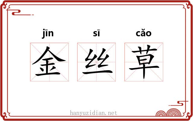 金丝草 金丝草