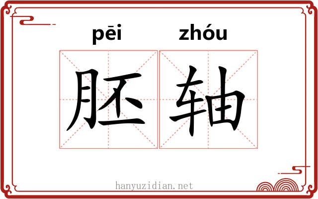 胚轴