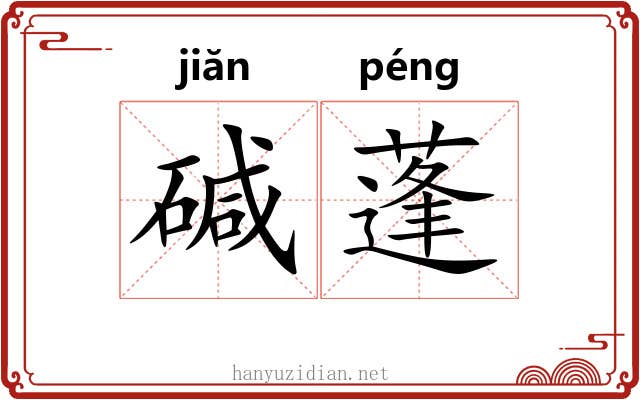 碱蓬