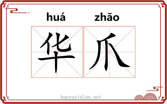 华爪 华爪